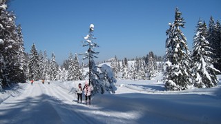 in der Panoramaloipe