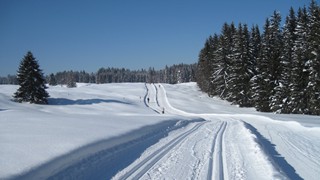 in der Panoramaloipe