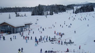 mit der Bergbahn zur Winkelmoosalm