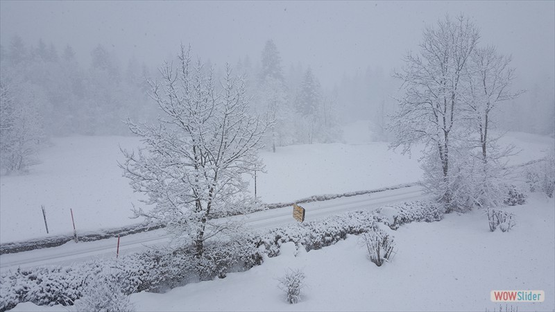 20180212_094250 20180212_094250